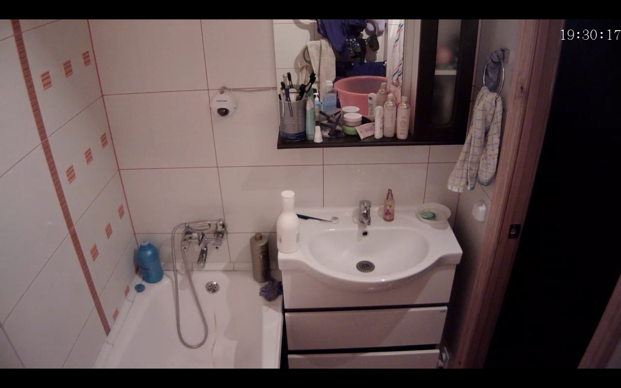 Reallifecam Bathroom 1 Car Interior Design